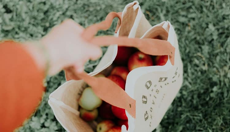 A person's hand reaching towards a canvas tote bag filled with fresh apples on a grassy surface.