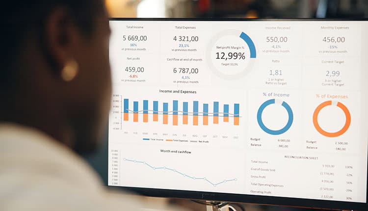 Person viewing a computer screen displaying financial graphs, charts, and data, including income and expenses, net profit margin, and cash flow trends.